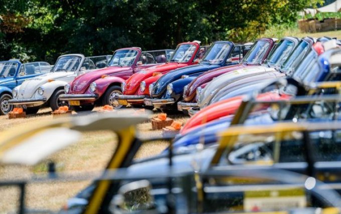 bedrijfsevent met catering en entertainment