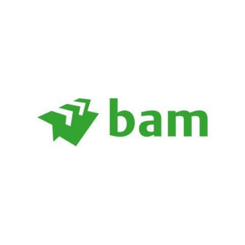 bam logo